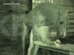 Cock hungry twink bows over in the barn and takes a horse knob unfathomable in his gazoo